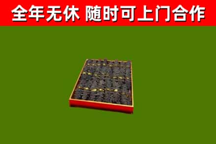 阿勒泰回收海参